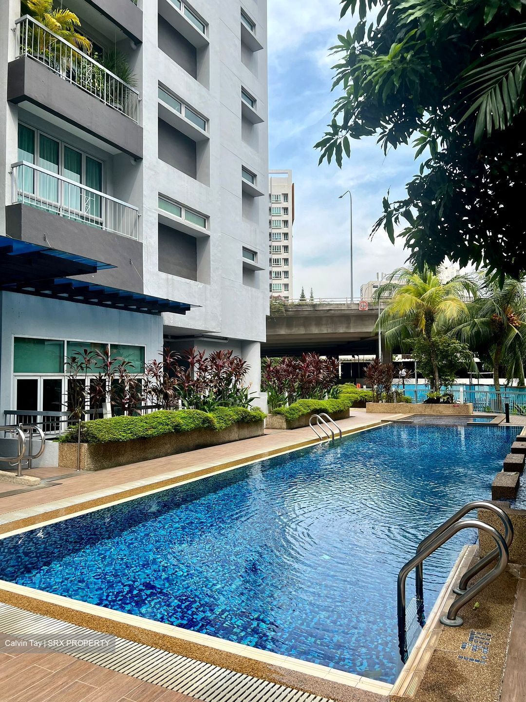 Pasadena (D11), Apartment #434917211